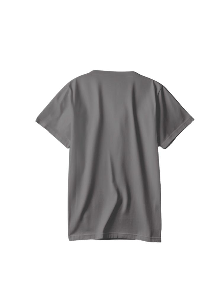 C17 grey back